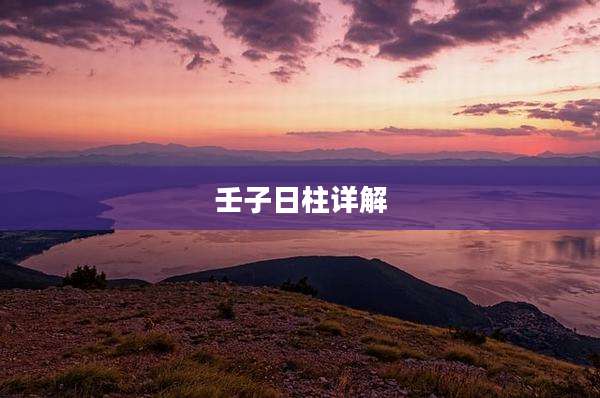 壬子日柱详解