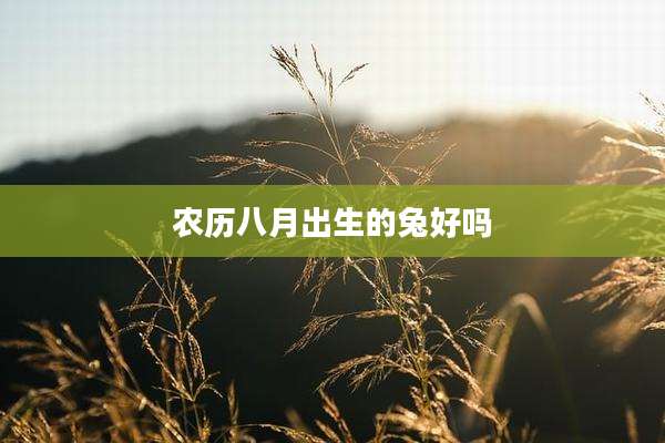 农历八月出生的兔好吗