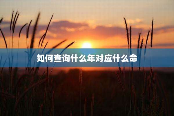 如何查询什么年对应什么命