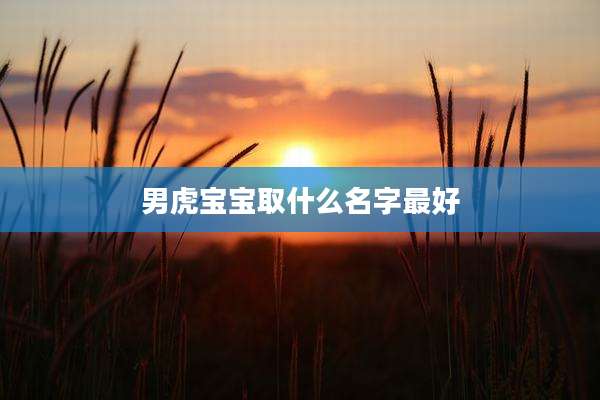 男虎宝宝取什么名字最好