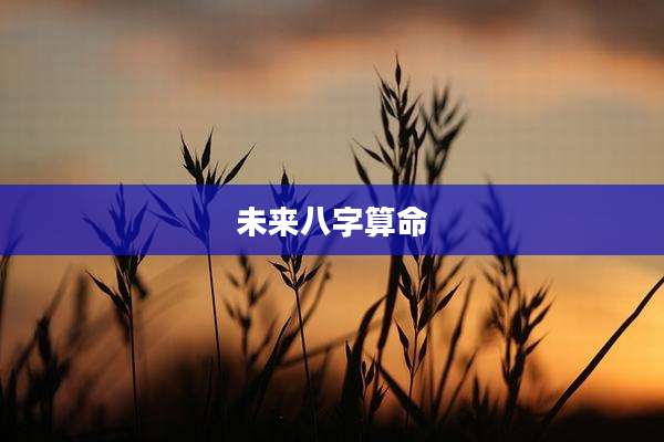 未来八字算命
