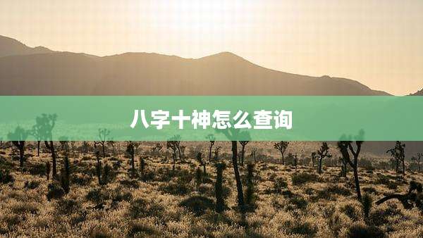 八字十神怎么查询