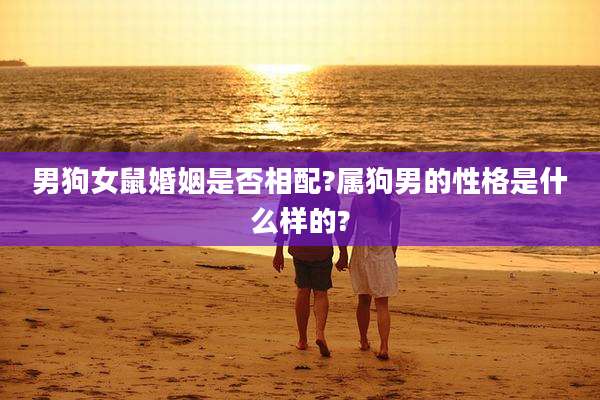 男狗女鼠婚姻是否相配?属狗男的性格是什么样的?