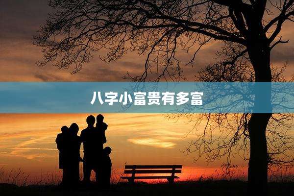 八字小富贵有多富