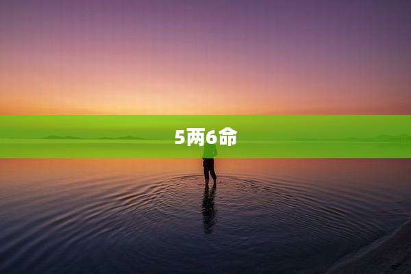 5两6命