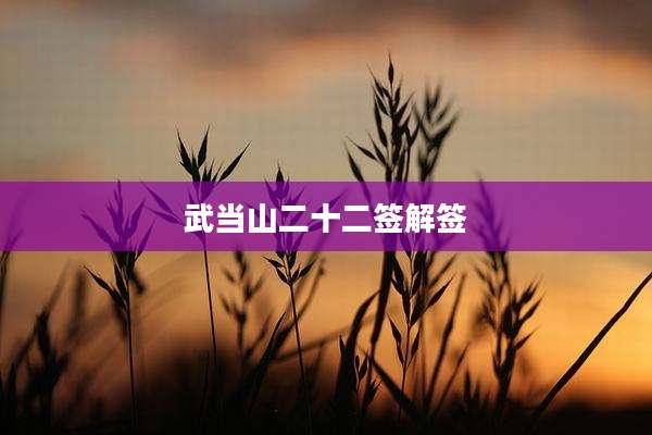 武当山二十二签解签