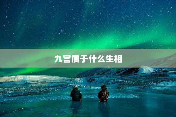 九宫属于什么生相