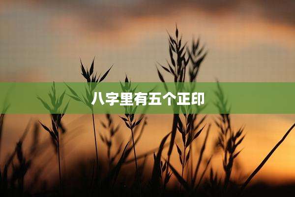 八字里有五个正印