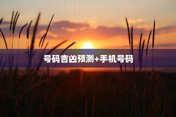 号码吉凶预测+手机号码