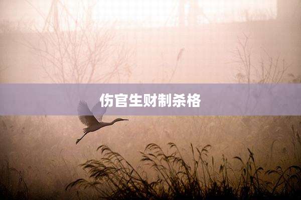 伤官生财制杀格
