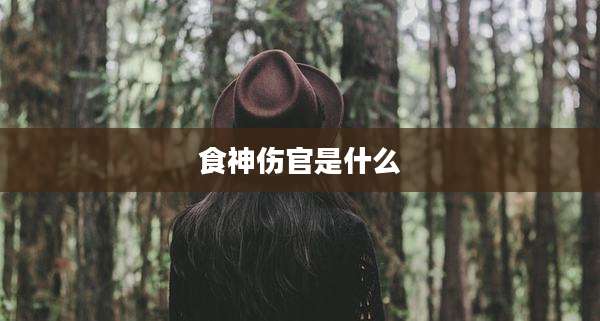食神伤官是什么