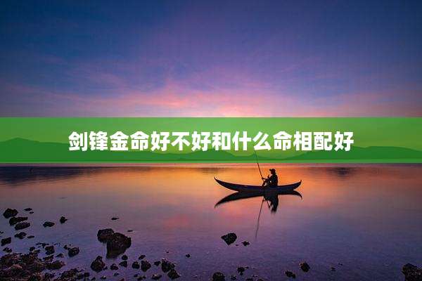 剑锋金命好不好和什么命相配好