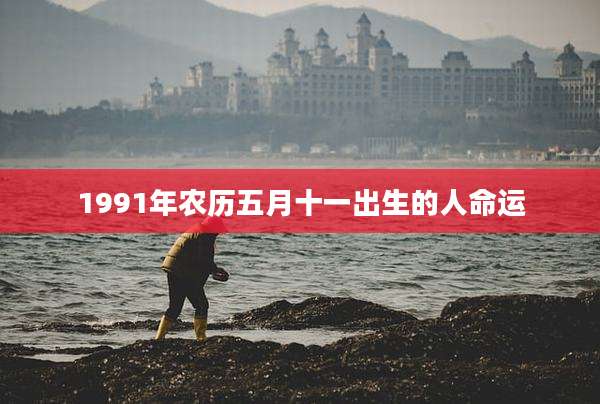 1991年农历五月十一出生的人命运