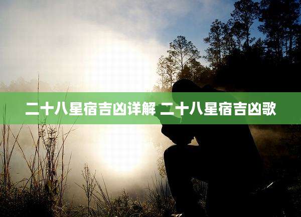 二十八星宿吉凶详解 二十八星宿吉凶歌