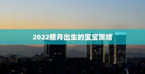 2022腊月出生的宝宝属啥