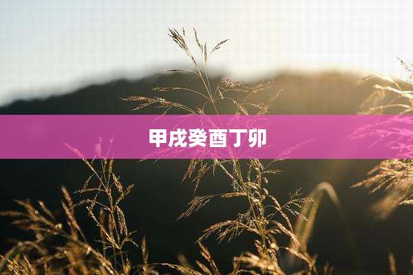 甲戌癸酉丁卯