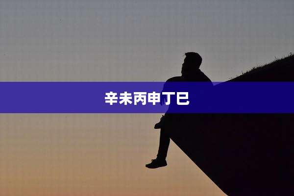 辛未丙申丁巳