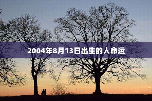 2004年8月13日出生的人命运