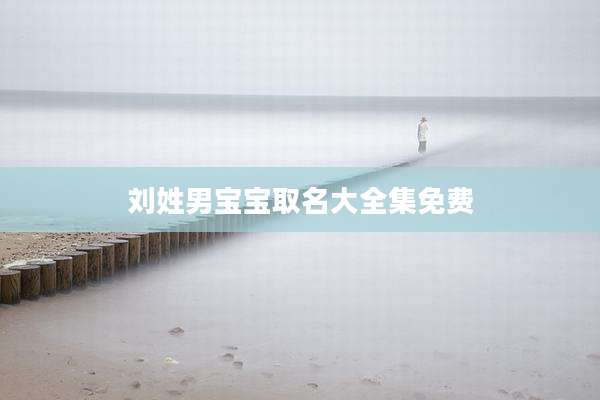 刘姓男宝宝取名大全集免费