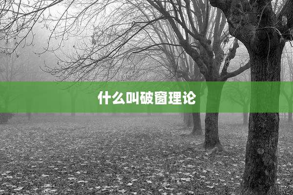 什么叫破窗理论