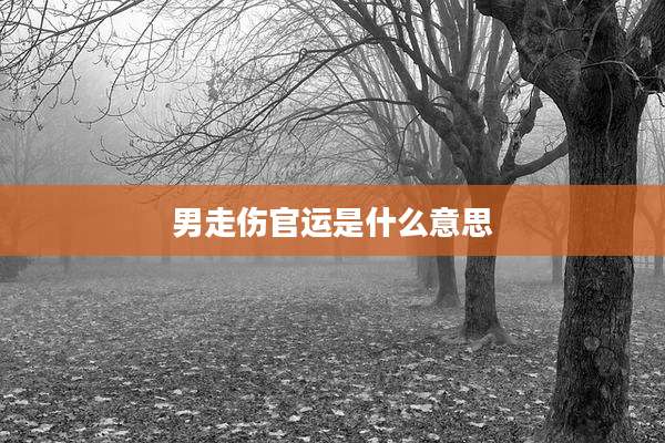 男走伤官运是什么意思