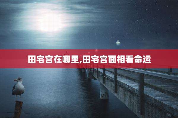 田宅宫在哪里,田宅宫面相看命运