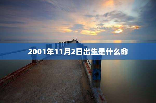 2001年11月2日出生是什么命