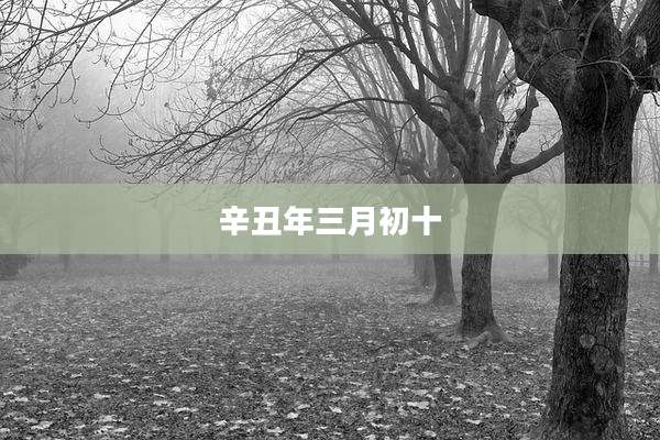 辛丑年三月初十