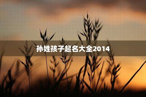 孙姓孩子起名大全2014