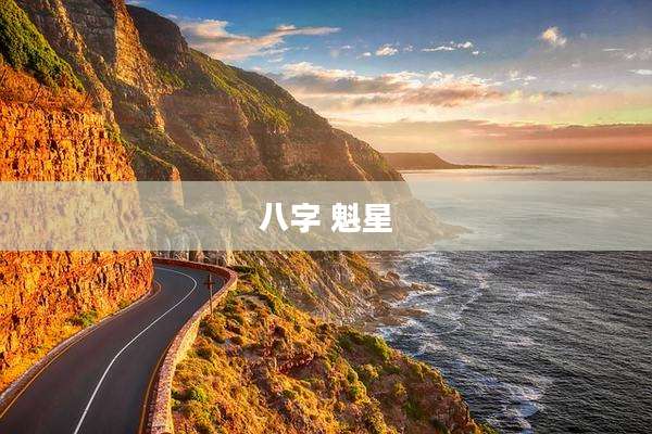 八字 魁星