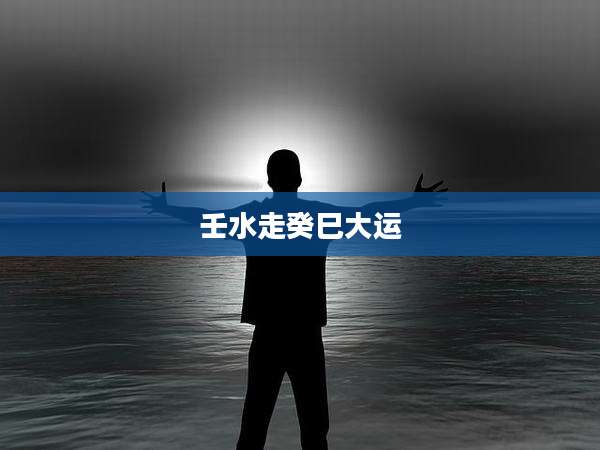 壬水走癸巳大运