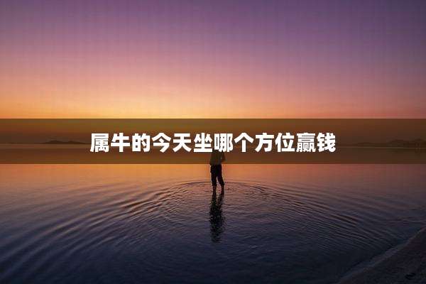 属牛的今天坐哪个方位赢钱