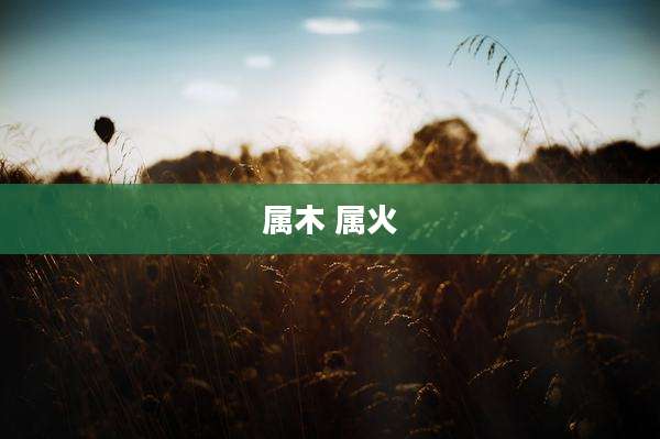 属木 属火