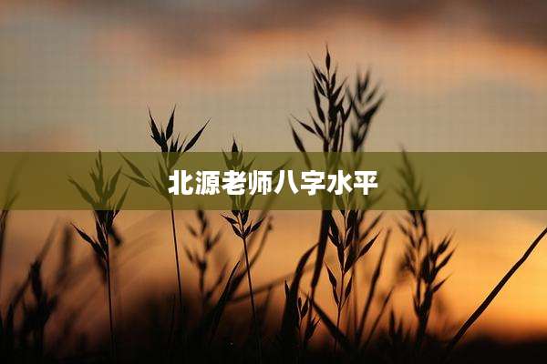 北源老师八字水平
