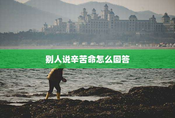 别人说辛苦命怎么回答