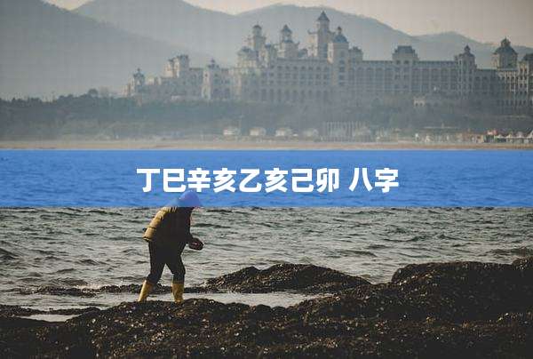 丁巳辛亥乙亥己卯 八字