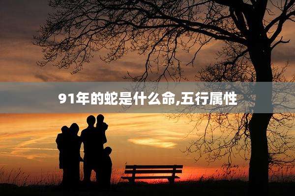91年的蛇是什么命,五行属性