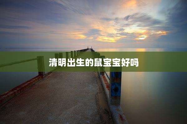 清明出生的鼠宝宝好吗
