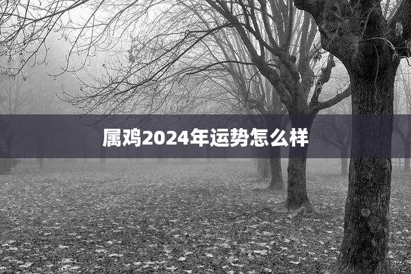 属鸡2024年运势怎么样