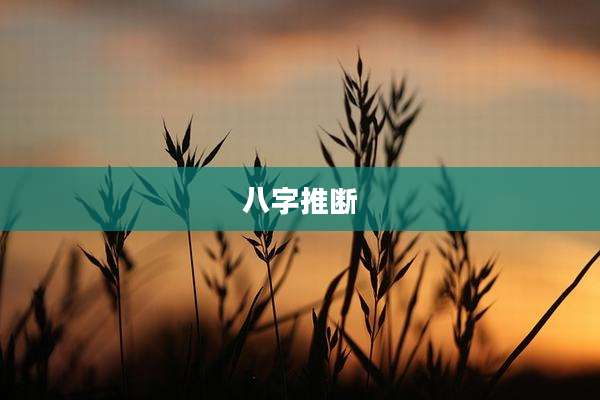 八字推断
