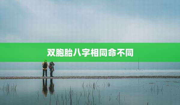 双胞胎八字相同命不同