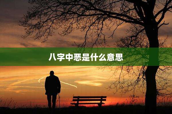 八字中恶是什么意思
