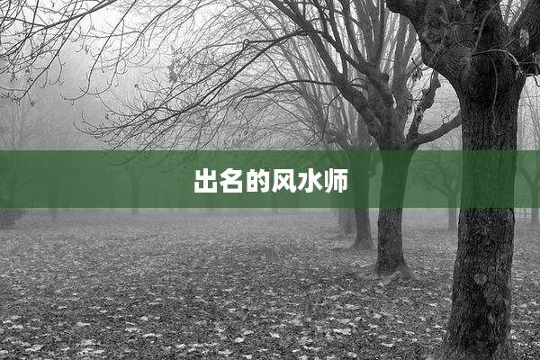 出名的风水师