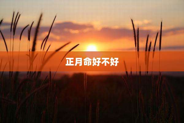 正月命好不好