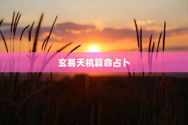 玄易天机算命占卜