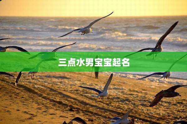 三点水男宝宝起名