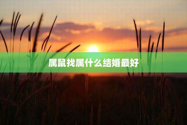 属鼠找属什么结婚最好