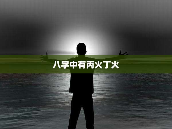 八字中有丙火丁火