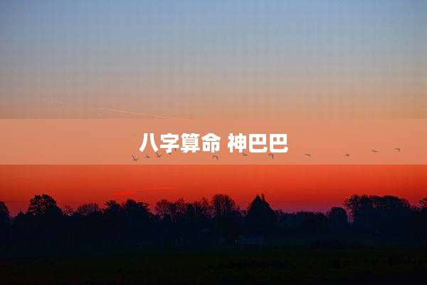 八字算命 神巴巴