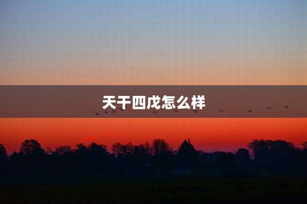 天干四戊怎么样
